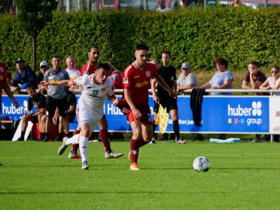 Kratzen, beissen, spucken wie die Grossen: Paul schnappt zu!